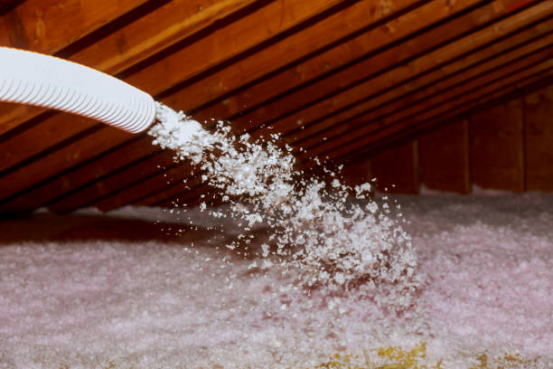 Best Insulation Contractor Near Me  in Riverside, AL